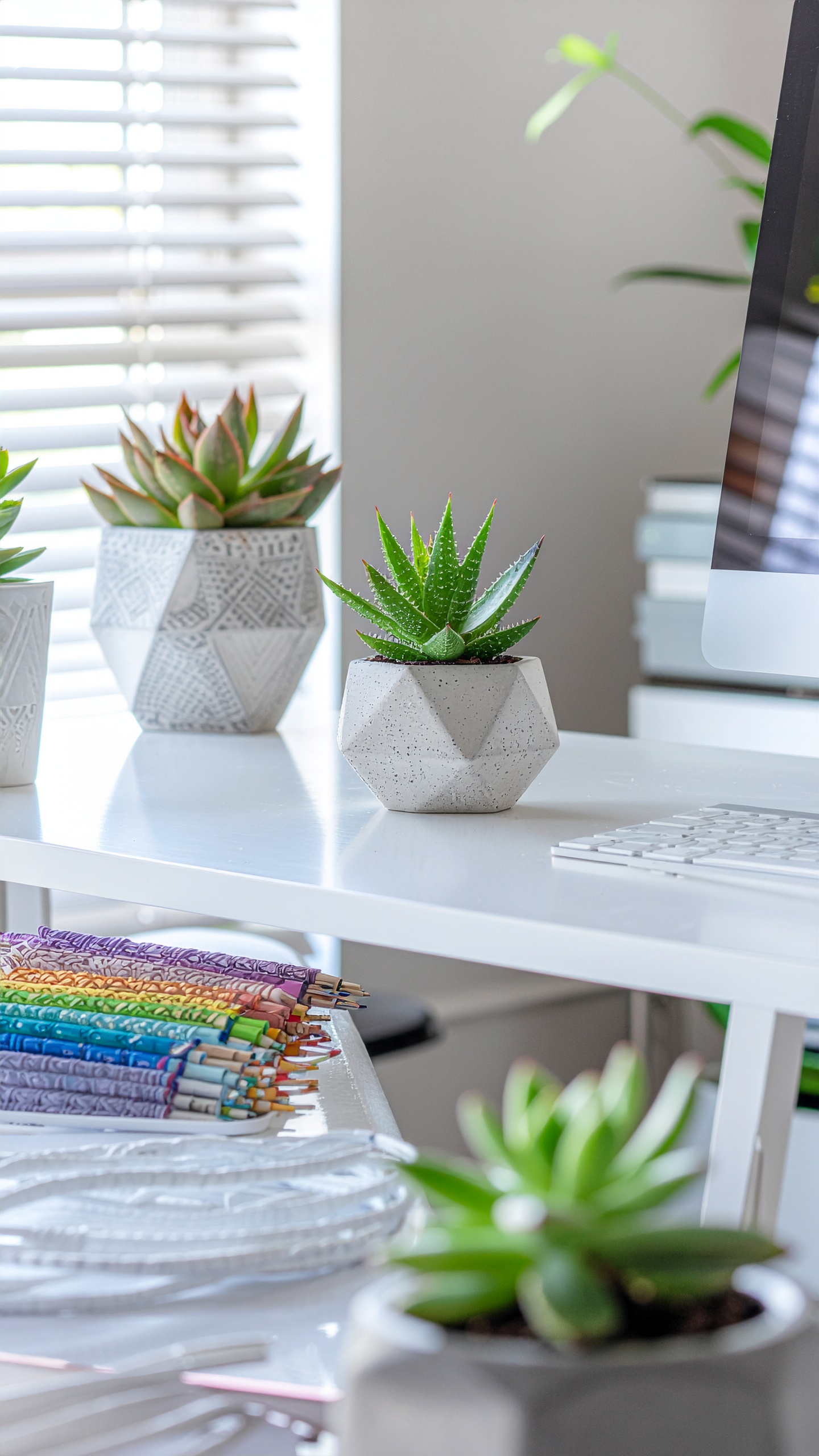 Modern Office Desk with Geometric Succulents